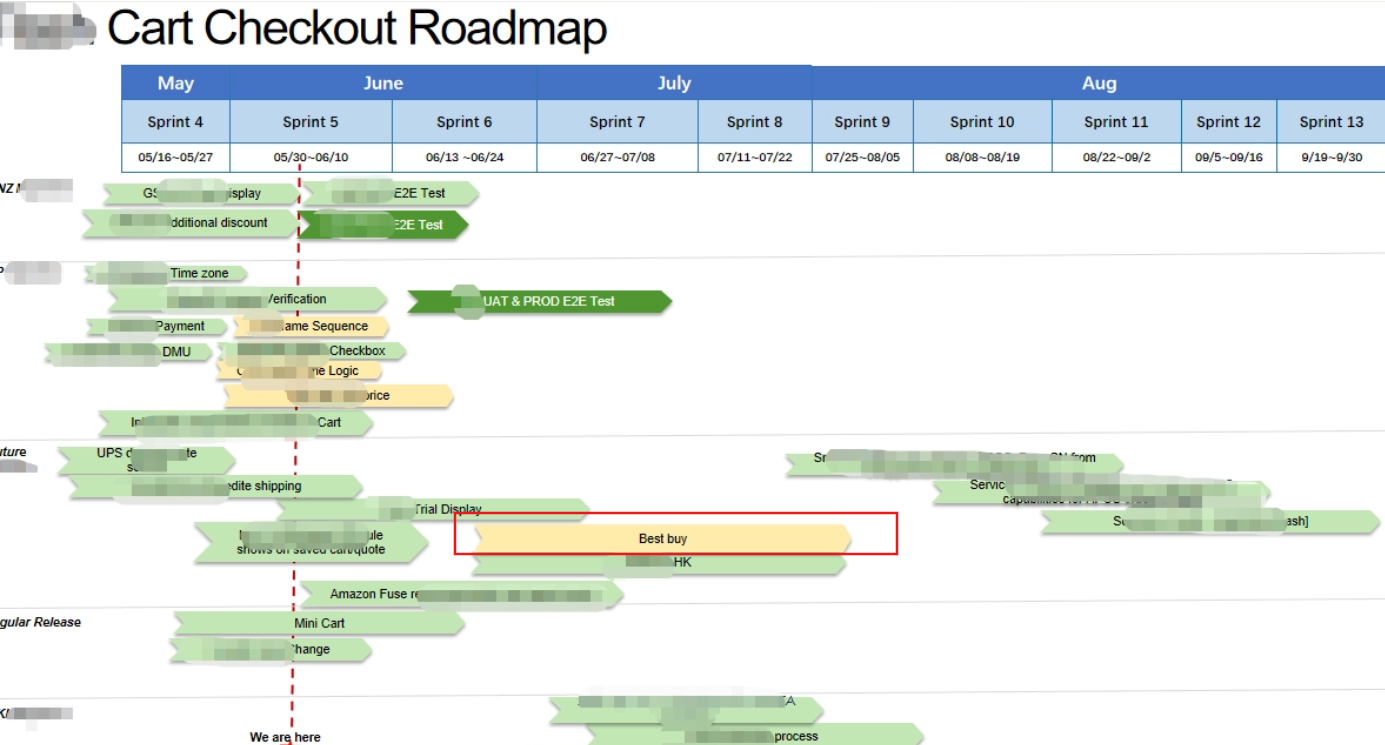 Project roadmap